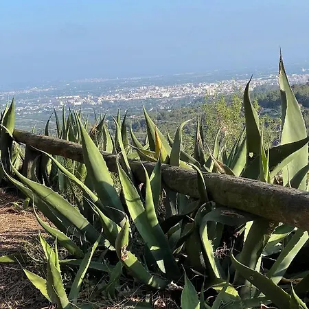 Masia Catalana Solsenyor By El Secret De La Conca וילה טראגונה