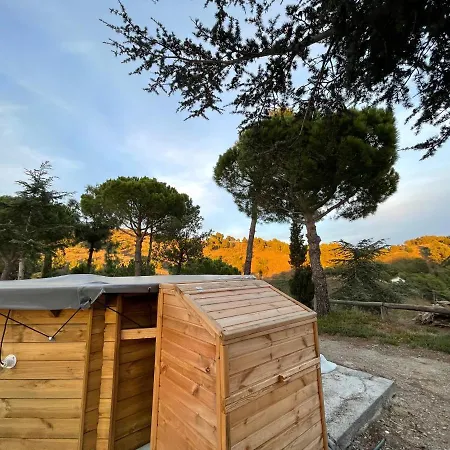 Masia Catalana Solsenyor By El Secret De La Conca וילה