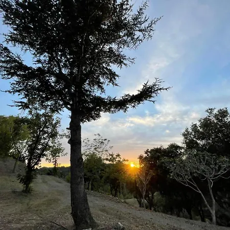 Masia Catalana Solsenyor By El Secret De La Conca * טראגונה