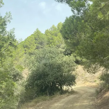 וילה Masia Catalana Solsenyor By El Secret De La Conca טראגונה