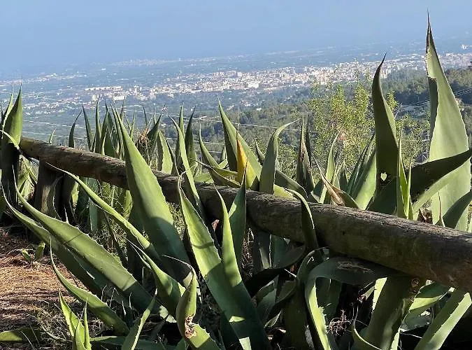 Masia Catalana Solsenyor By El Secret De La Conca Villa Tarragona