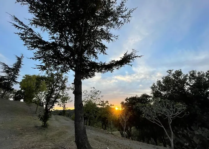 Masia Catalana Solsenyor By El Secret De La Conca * Tarragona